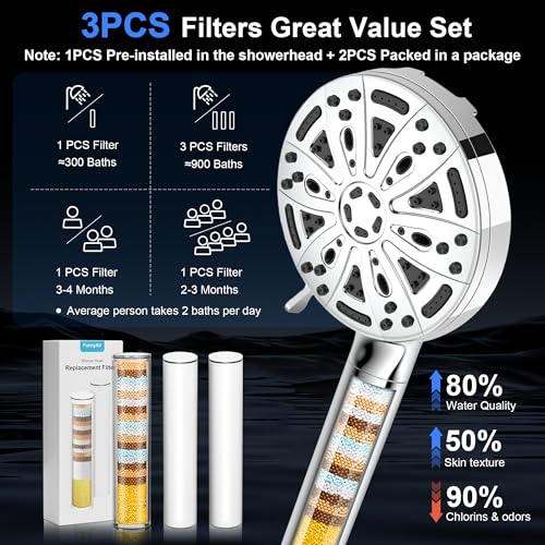 Filtered Shower Head with Handheld (3 Count)