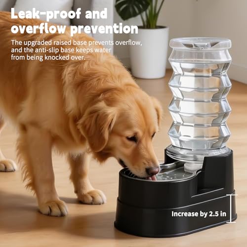 8L Elevated Dog Waterer
