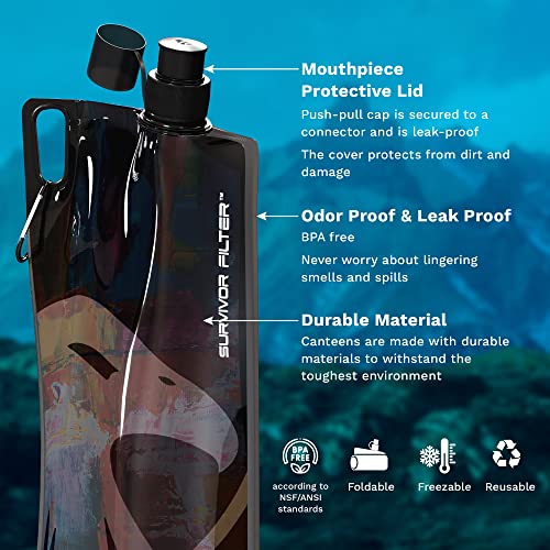 1L Black Collapsible Water Bottles (2 Count)
