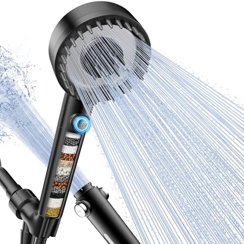 Filtered Shower Head with Handheld