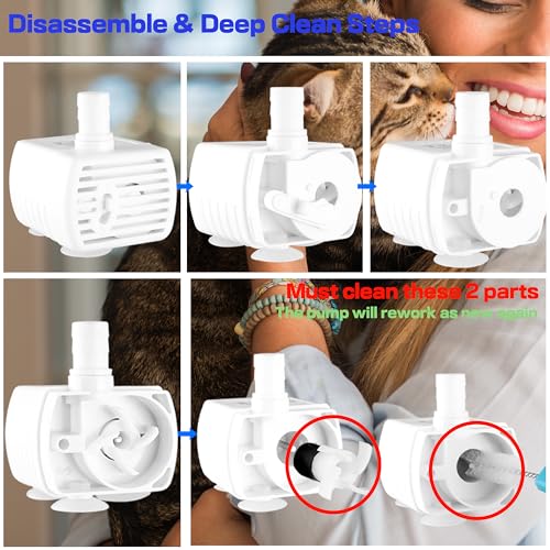 Cat Water Fountain