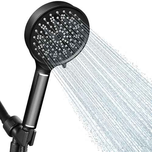 Filtered Shower Head with Handheld