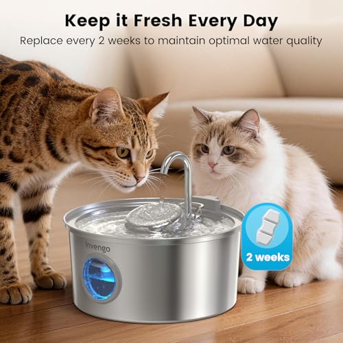 Replacement Filters for Cat Water Fountain