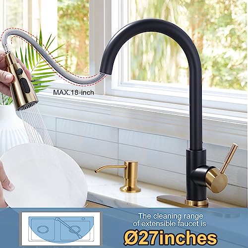 Black and Gold Kitchen Faucet with Soap Dispenser