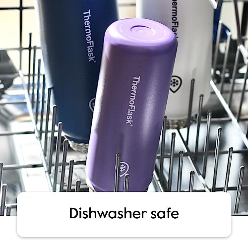 Kids 16 oz Insulated Water Bottles with Straw Lid BPA (2 Count)