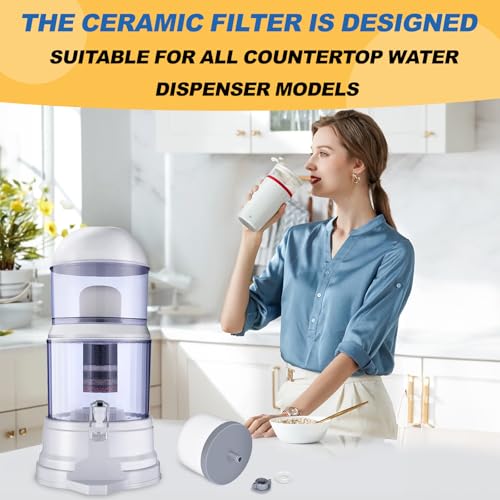 Ceramic Dome Water Filter with Coconut Shell Activated Carbon (2 Count)