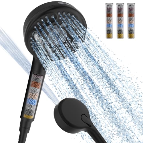 Filtered Shower Head with Handheld (4 Count)