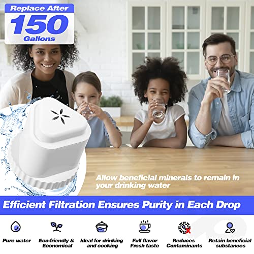 1Pack Replacement Filter for EPIC Water Filter Pitcher