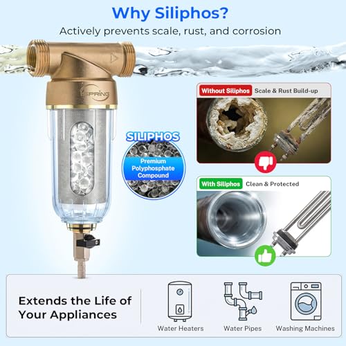 WSP 50SLS Spin Down Sediment Filter & Scale Inhibitor