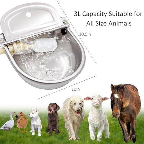 Automatic Water Dispenser for Dog Water Bowl Dispenser Large Size Stainless