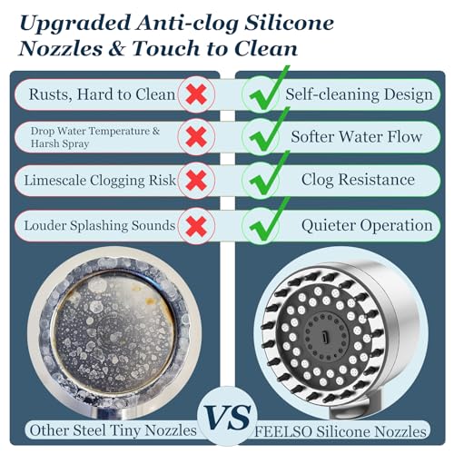 Filtered Shower Head with Handheld