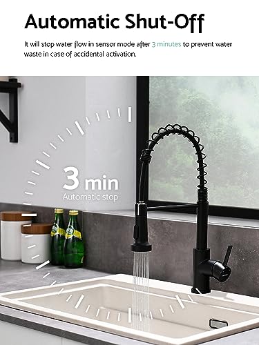 Touchless Kitchen Faucet