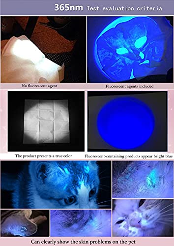 UV 365nm Light Rechargeable Flashlight Blacklight Wood's Lamp Mini