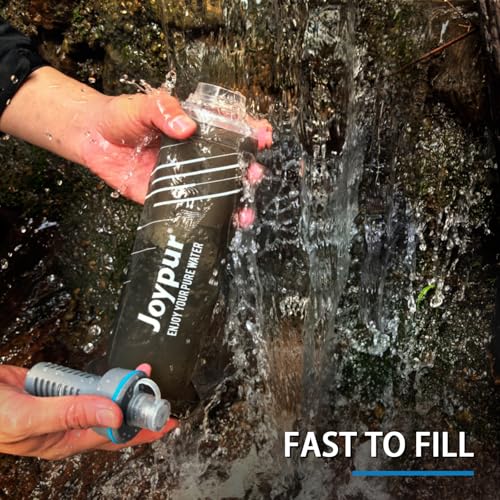 Water Filter Survival