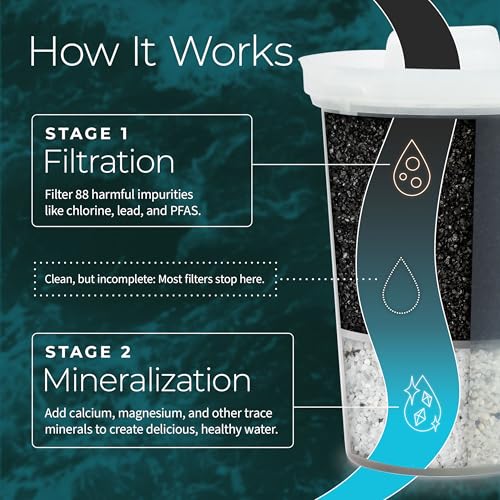 Single Replacement MINA Alkaline Water Filter by Santevia