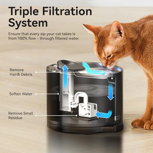 Pure 2 LITE Cat Water Fountain