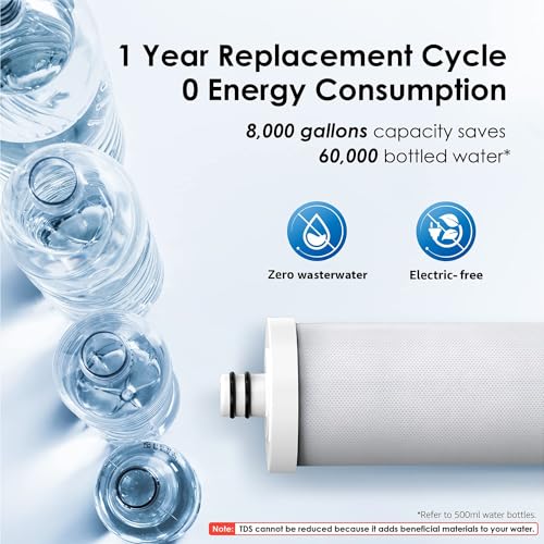 CTF 01 Water Filter for Sink Faucet (2 Count)