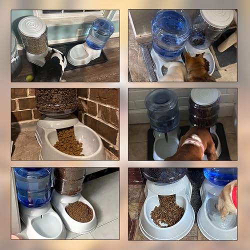 Automatic Dog Feeders