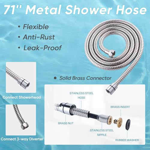 10'' Dual 20 Stage Filtered Shower Head with Handheld
