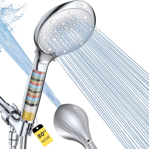 Filtered Shower Head with Handheld