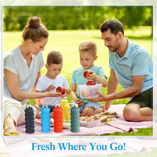 4 Pcs Collapsible Water Bottles 17 oz Reusable Silicone Foldable Travel Water Bottle Portable Leak Proof Sports Bottles for Gym Camping Hiking (4 Count)