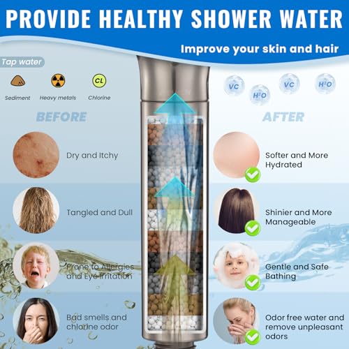 Filtered Shower Head with Handheld
