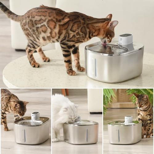 Wireless Cat Water Fountain Stainless Steel
