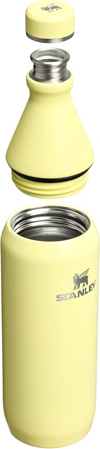 Stanley All Day Slim Bottle 20 oz | Twist off Lid with Leakproof Seal | Slim Design for Travel and Gym | Insulated Stainless Steel Water Bottle | BPA-Free | Pomelo Gloss