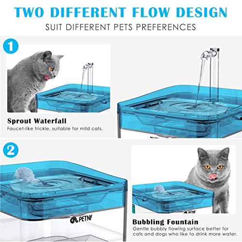 Blue Pet Water Fountain