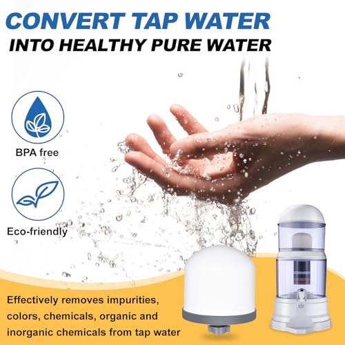 Ceramic Dome Water Filter with Coconut Shell Activated Carbon (2 Count)