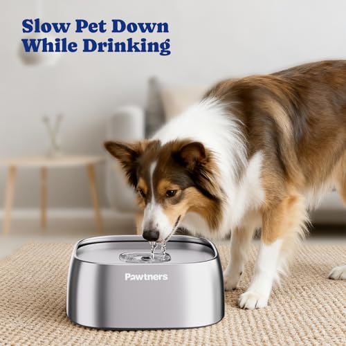 All Stainless Steel Dog Water Bowl No Spill