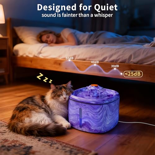 Cat Water Fountain Purple