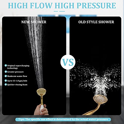 Vintage Handheld Shower Head with 59" Flexible Hose