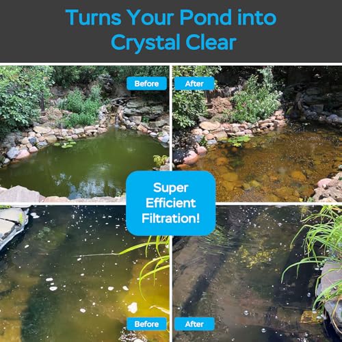 Pond Filter with Fountain Kits