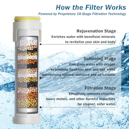 Filtered Shower Head with Handheld (4 Count)