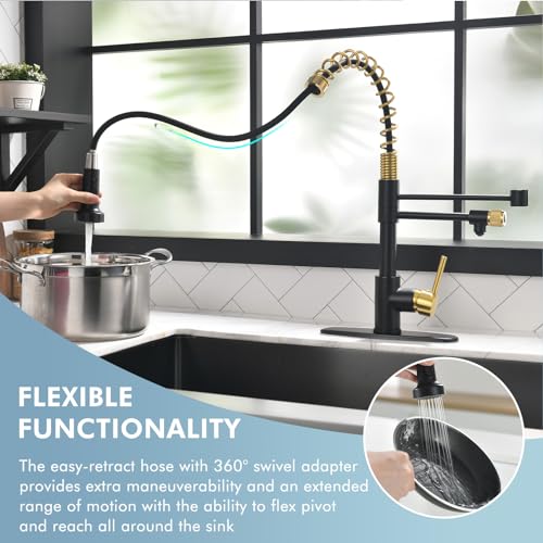 Black and Gold Drinking Water Faucet 3 in 1 Commercial Pull