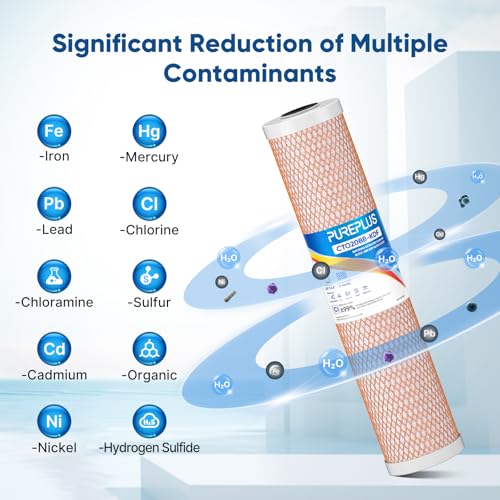 5 Micron 20" x 4.5" Whole House Coconut Shell Activated Carbon and KDF Water Filter (2 Count)