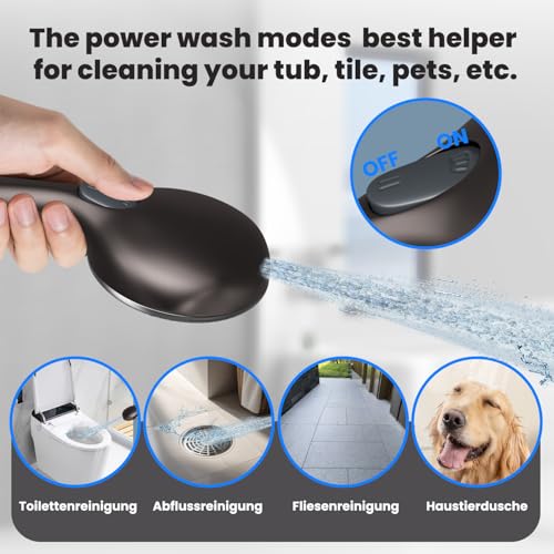 Shower Head with Handheld