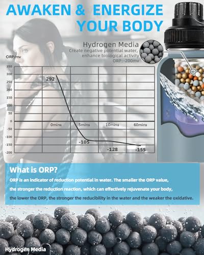 30oz Stainless Steel Alkaline Filter Water Bottle (6 Count)