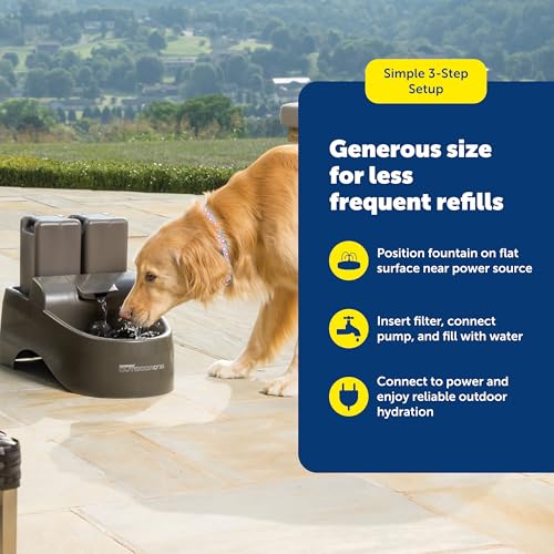 Drinkwell Outdoor Dog Water Fountain