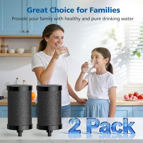 2 Pack 2387 Pro Filter Replacement for Alexapure 2387 Pro Water Filter (2 Count)