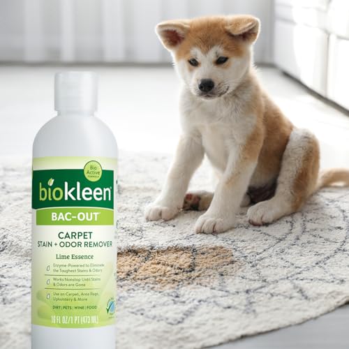 Bac Out Carpet Stain Remover Enzymatic (256 Fl Oz)