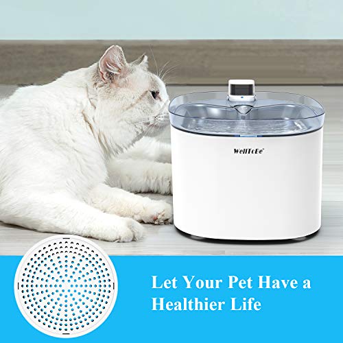 Cat Water Fountain Filter (6 Count)