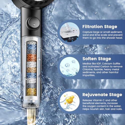 Filtered Shower Head with Handheld