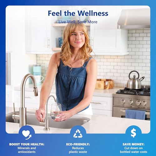 Reverse Osmosis Deionization Water Filtration System