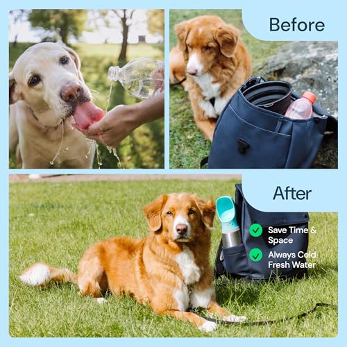 Insulated Dog Water Bottle