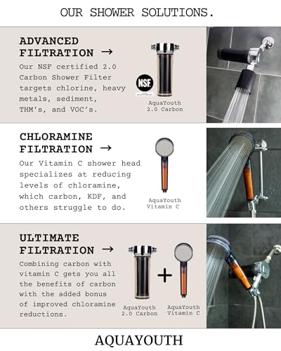 Vitamin C Handheld Shower Head