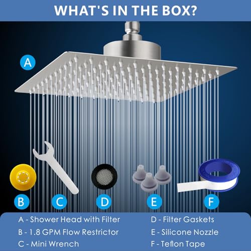 Rain Shower Head with Filtered
