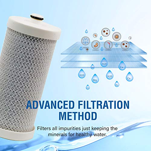 SGF WFCB Replacement water filter for WFCB