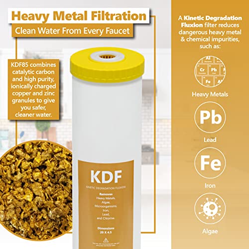 Whole House Water Filter (2 Count)